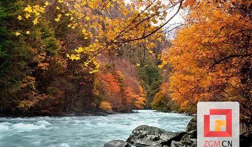 旅游自駕拼車貼吧_自駕拼車吧_拼車自駕游群