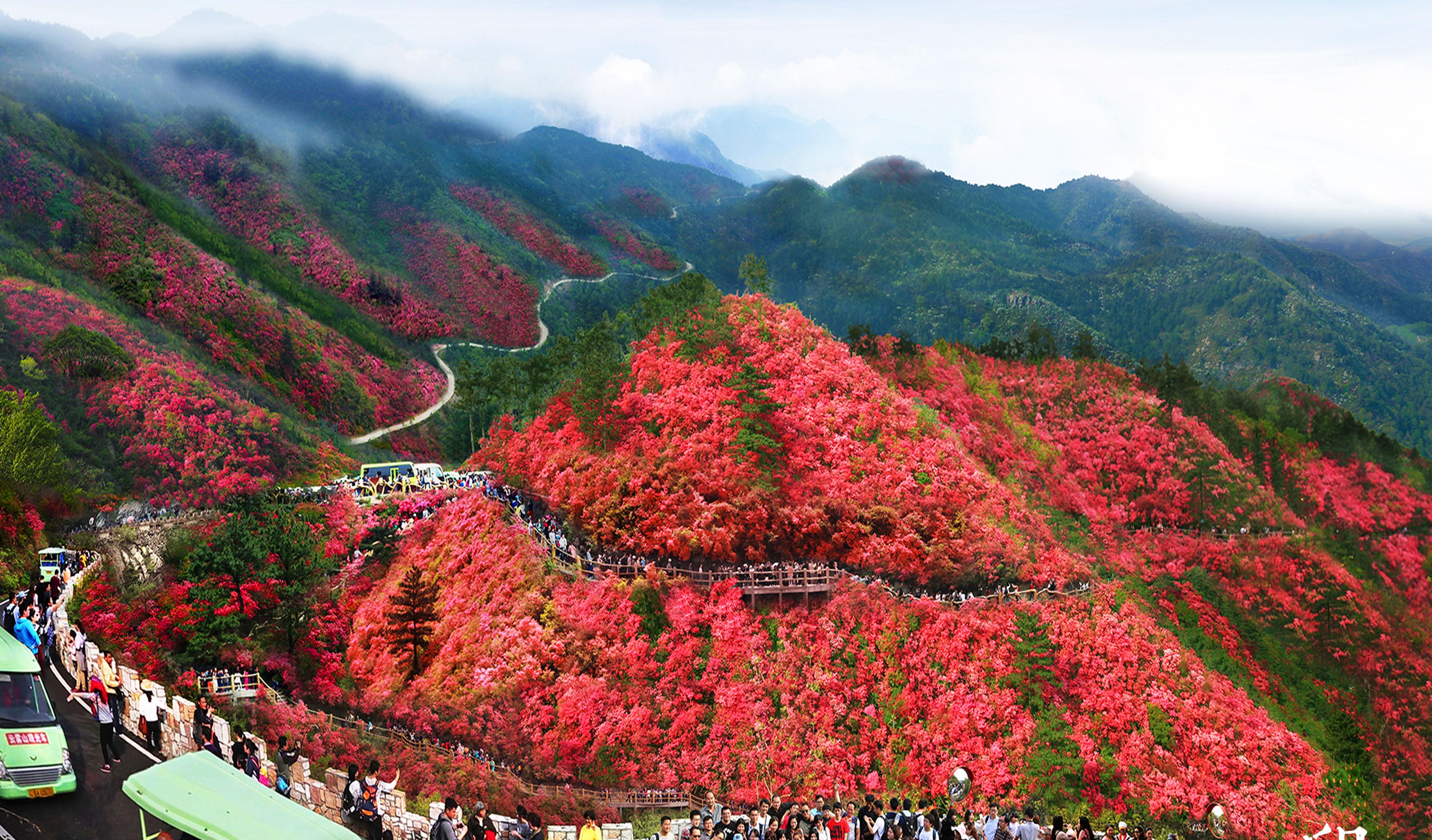 自駕木蘭攻略山游路線_木蘭山自駕游攻略_自駕木蘭攻略山游路線圖
