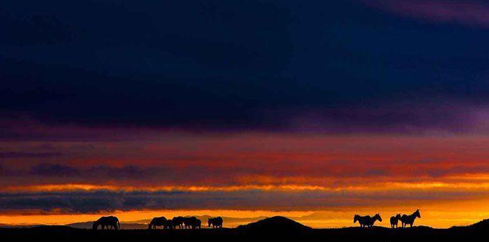 北京到拉薩旅游指南,最受歡迎入藏火車線路
