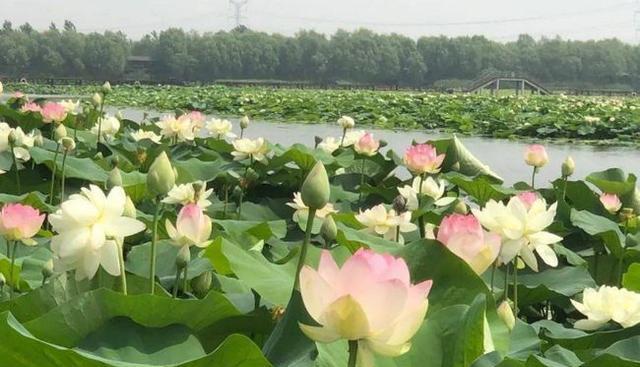 石家莊到定州火車_石家莊火車到定州要經過幾站_石家莊火車到定州火車