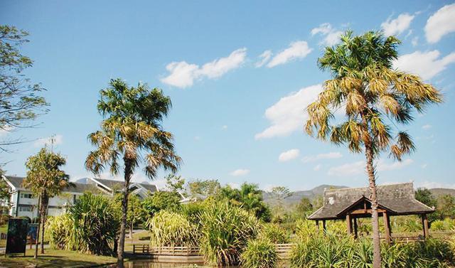 為什么人們喜歡旅游_旅游人們喜歡喝什么酒_旅游人們喜歡什么禮物