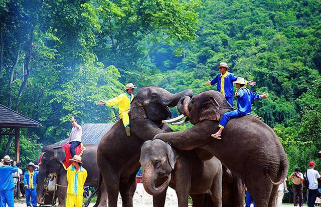 旅游人們喜歡喝什么酒_旅游人們喜歡什么禮物_為什么人們喜歡旅游