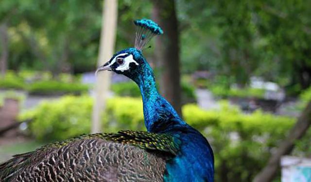 旅游人們喜歡什么禮物_旅游人們喜歡喝什么酒_為什么人們喜歡旅游