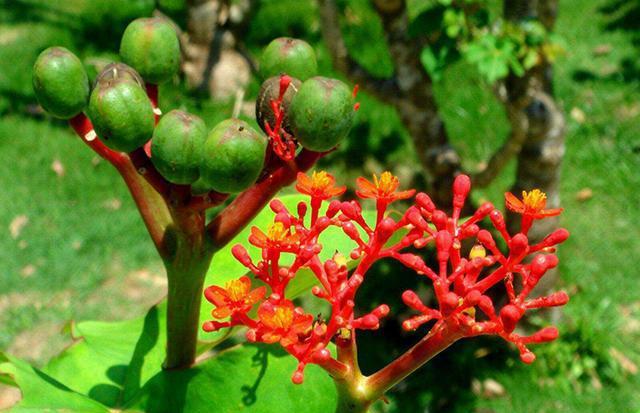 為什么人們喜歡旅游_旅游人們喜歡什么禮物_旅游人們喜歡喝什么酒