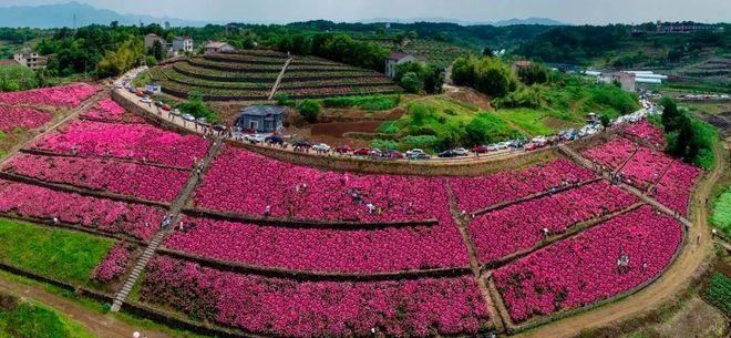 懷安縣旅游景點(diǎn)_懷安縣旅游攻略_懷安縣景區(qū)