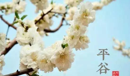 邯鄲自駕一日游_邯鄲五一自駕游_邯鄲自駕游景點