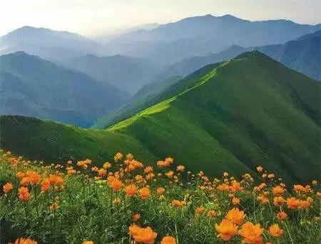 邯鄲自駕一日游_邯鄲五一自駕游_邯鄲自駕游景點