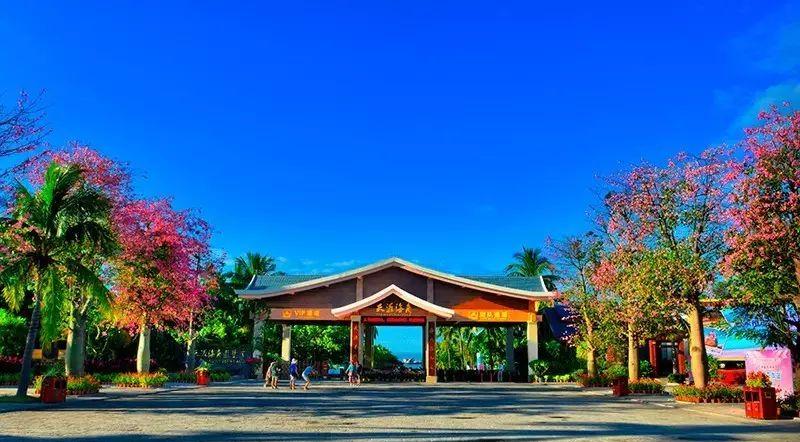 旅游轉(zhuǎn)型升級(jí)什么意思_旅游產(chǎn)業(yè)轉(zhuǎn)型升級(jí)的意見(jiàn)_旅游業(yè)轉(zhuǎn)型升級(jí)