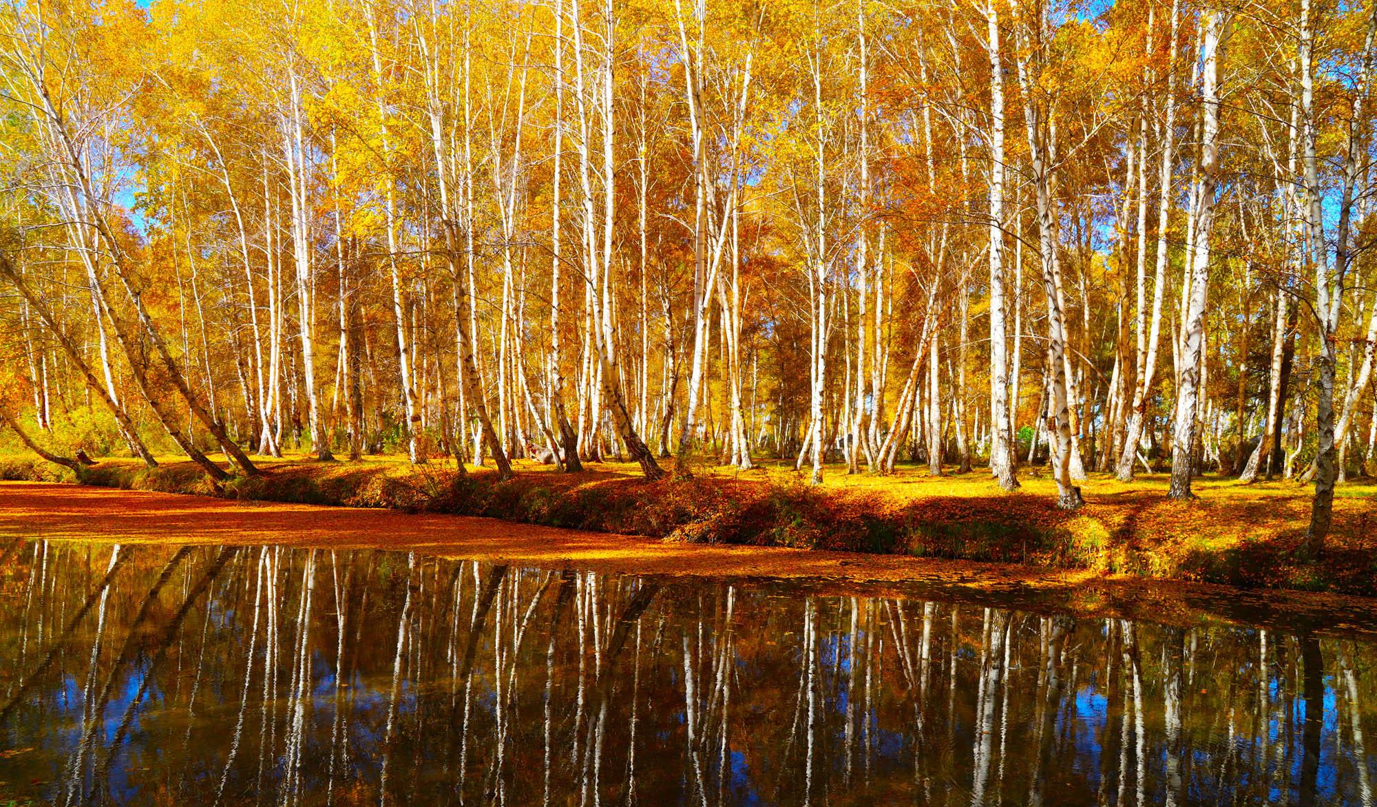 濟南南部山區(qū)旅游_濟南南部山區(qū)野游_濟南南部山區(qū)驢友推薦