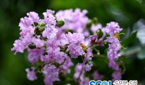 旅游公共服務設施_設施公共旅游服務包括哪些_設施公共旅游服務管理辦法