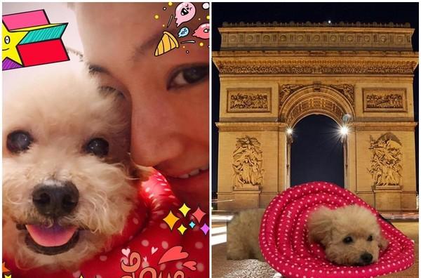 帶狗自駕游長白山_長白山帶狗該怎么辦_長白山旅游可以帶狗狗嗎