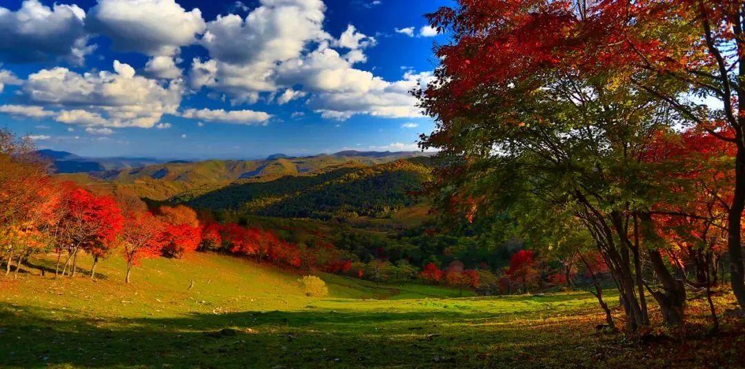 秋季東北旅游_東北秋季自駕游_冬季自駕東北游記