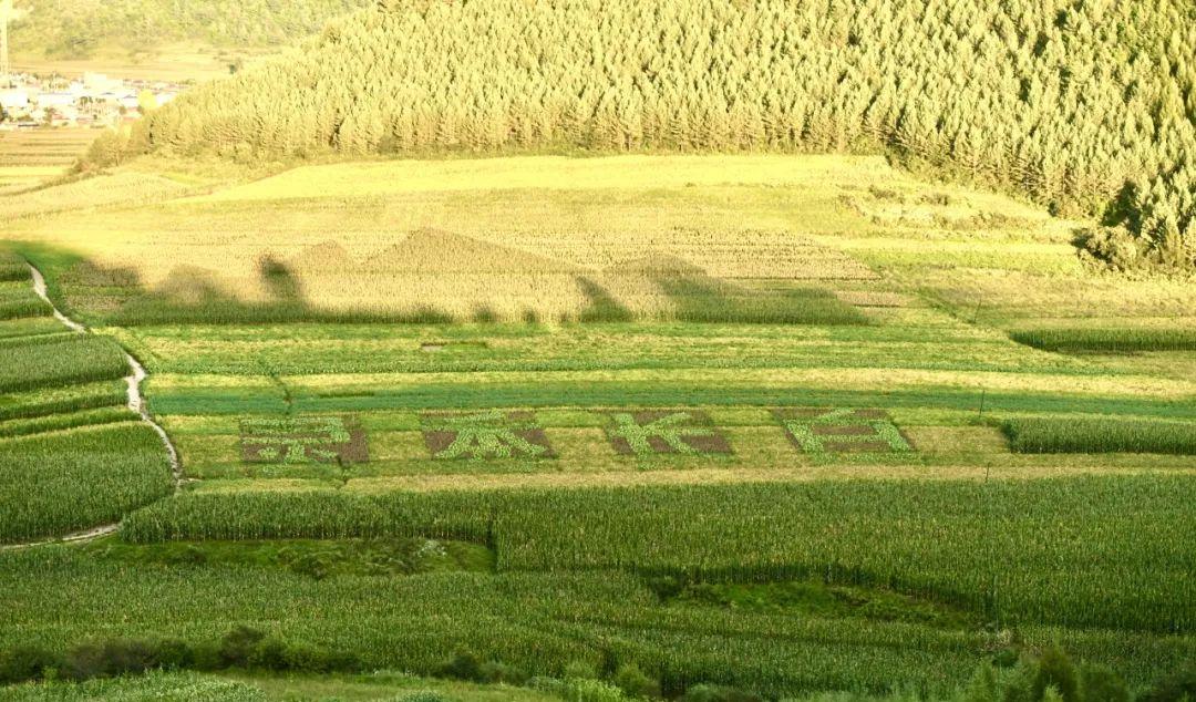 東北秋季自駕游_冬季自駕東北游記_秋季東北旅游