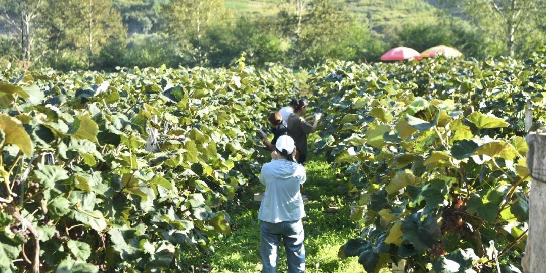 秋季東北旅游_東北秋季自駕游_冬季自駕東北游記