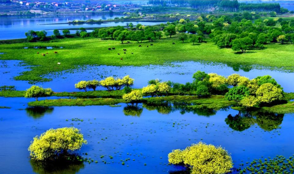 雁鳴湖詩_雁鳴湖自駕游訂票_雁鳴湖自駕游攻略
