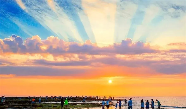 旅游適合城市月季花嗎_1月適合旅游的城市_每個月適合旅游的城市