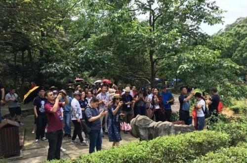 溫州到南京自駕游_溫州到南京自駕游路線_自駕溫州南京游到哪里合適