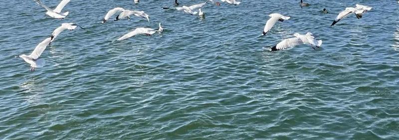 大理洱海旅游攻略必去景點 云南大理洱海旅游攻略