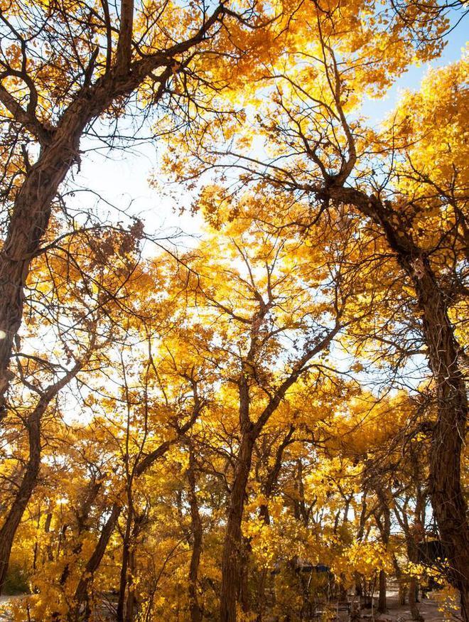 武漢到甘肅自駕游_甘肅自駕武漢游到大理攻略_武漢到甘肅旅游