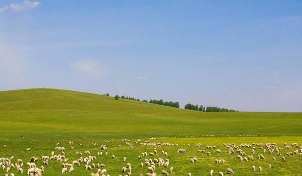 自駕濟(jì)南承德游最佳路線_濟(jì)南承德自駕游_濟(jì)南承德旅游