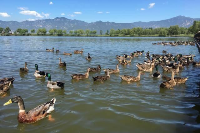 濟(jì)南承德自駕游_濟(jì)南承德旅游_自駕濟(jì)南承德游最佳路線