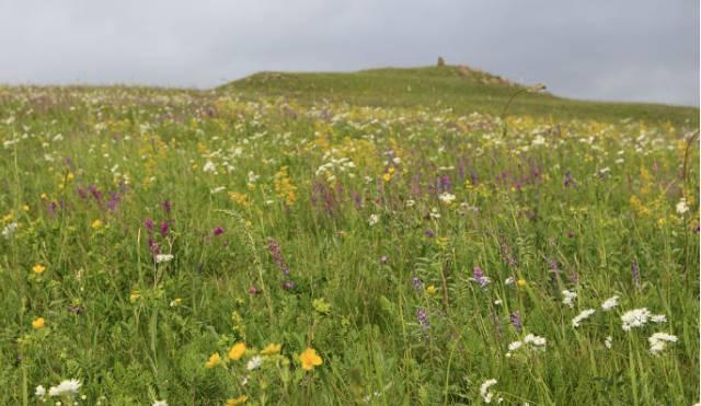 自駕濟(jì)南承德游最佳路線_濟(jì)南承德旅游_濟(jì)南承德自駕游