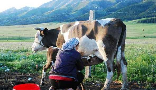 自駕濟(jì)南承德游最佳路線_濟(jì)南承德旅游_濟(jì)南承德自駕游