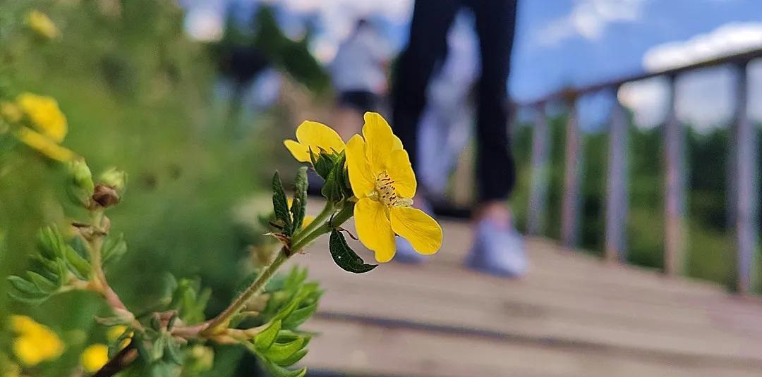 自駕游烏蘭察布到秦皇島路線圖_自駕游烏蘭察布_自駕游烏蘭察布的說說文案