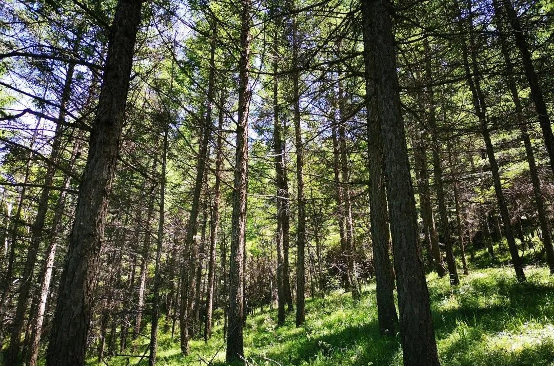 自駕游烏蘭察布_自駕游烏蘭察布到秦皇島路線圖_自駕游烏蘭察布的說說文案