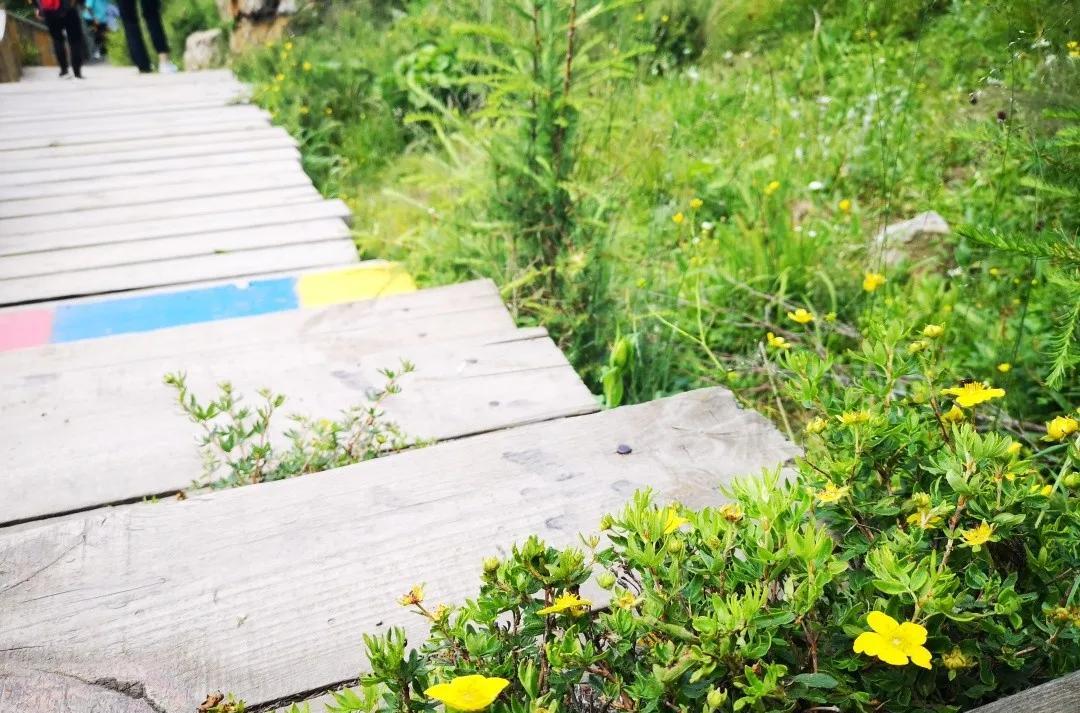 自駕游烏蘭察布_自駕游烏蘭察布到秦皇島路線圖_自駕游烏蘭察布的說說文案