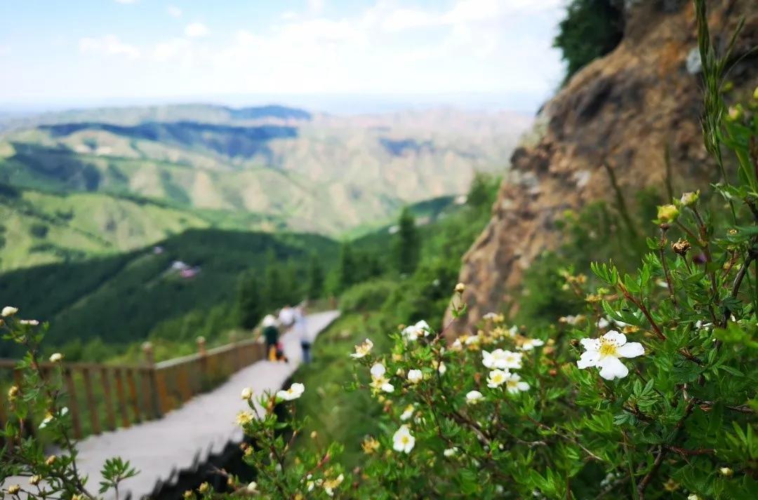 自駕游烏蘭察布_自駕游烏蘭察布到秦皇島路線圖_自駕游烏蘭察布的說說文案