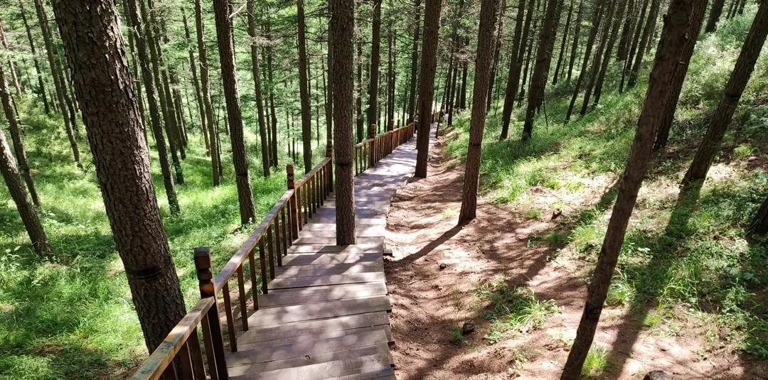 自駕游烏蘭察布_自駕游烏蘭察布到秦皇島路線圖_自駕游烏蘭察布的說說文案