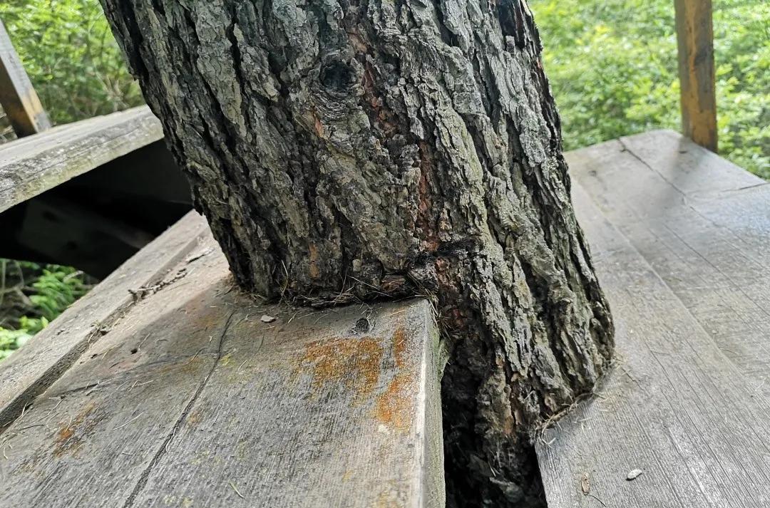 自駕游烏蘭察布_自駕游烏蘭察布的說說文案_自駕游烏蘭察布到秦皇島路線圖