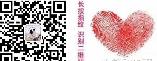 青島到曲阜自駕游_青島到曲阜一日游團_自駕青島曲阜游到泰安路線