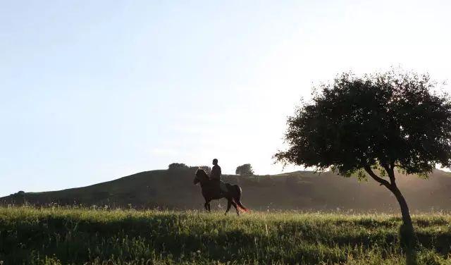 濟南承德旅游_濟南承德自駕游_自駕濟南承德游玩攻略