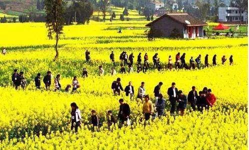 九連山森林公園自駕游_楓水灣森林溫泉自駕旅_千島湖森林氧吧不自駕怎么去