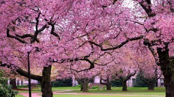 九連山森林公園自駕游_楓水灣森林溫泉自駕旅_千島湖森林氧吧不自駕怎么去