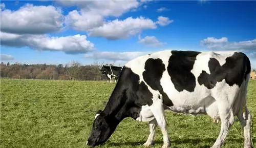 九連山森林公園自駕游_千島湖森林氧吧不自駕怎么去_楓水灣森林溫泉自駕旅