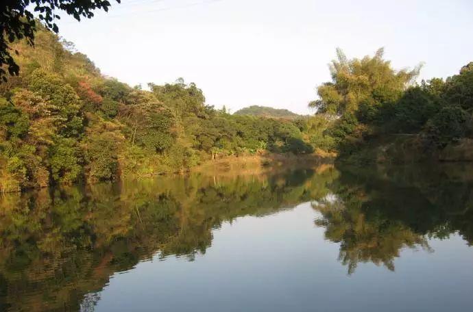 楓水灣森林溫泉自駕旅_千島湖森林氧吧不自駕怎么去_九連山森林公園自駕游