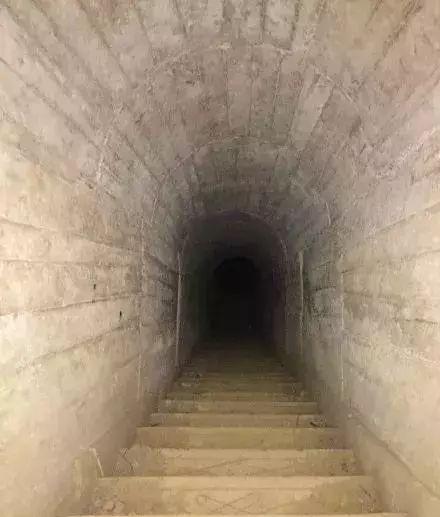 千島湖森林氧吧不自駕怎么去_楓水灣森林溫泉自駕旅_九連山森林公園自駕游