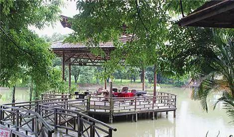 千島湖森林氧吧不自駕怎么去_楓水灣森林溫泉自駕旅_九連山森林公園自駕游