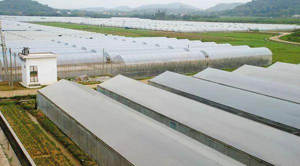 九連山森林公園自駕游_千島湖森林氧吧不自駕怎么去_楓水灣森林溫泉自駕旅