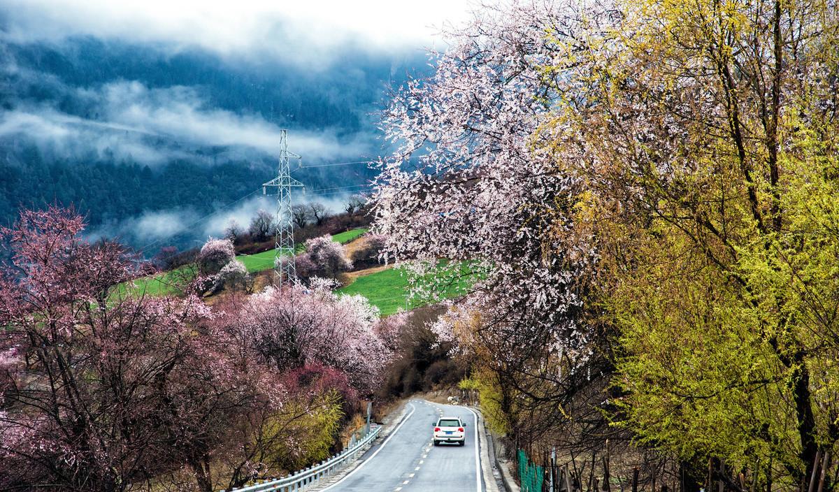 自駕游多大排量合適_1.6排量自駕游_1.6排量能自駕游嗎