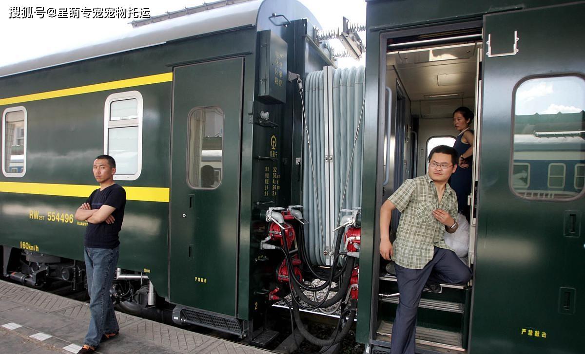 火車托運寵物可以帶幾只_火車托運寵物可以探望寵物嗎_火車可以托運寵物嗎