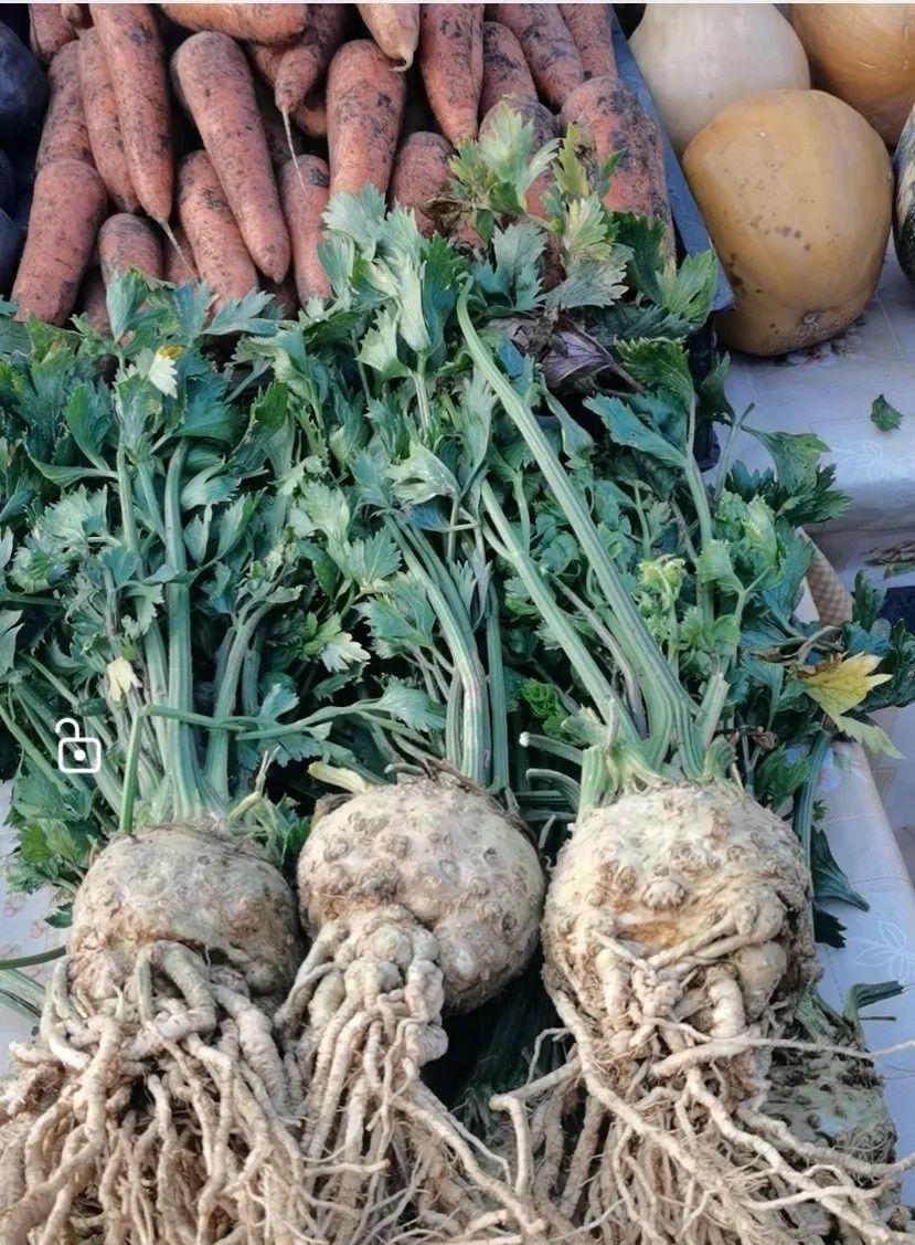 景點旅游海參崴多少錢_海參崴旅游景點有哪些_海參崴旅游景點