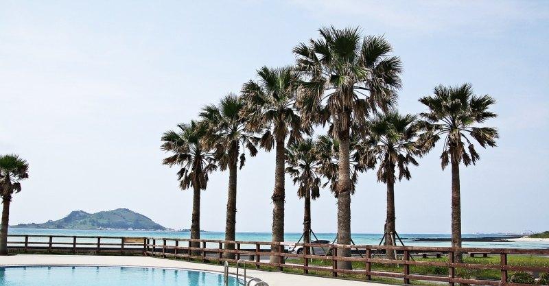 南澳進(jìn)島攻略，自駕南澳島旅游攻略 - 安旅旅游