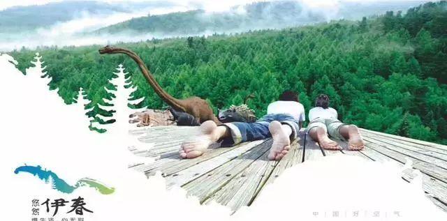 住宿旅游伊春哪里好_伊春旅游住宿多少錢_伊春旅游住宿