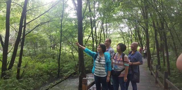 伊春住宿推薦_住宿旅游伊春哪里好_伊春旅游住宿