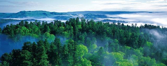 伊春住宿推薦_伊春旅游住宿_住宿旅游伊春哪里好