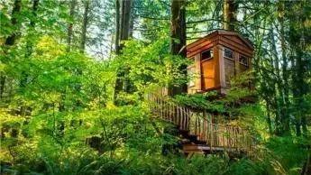 南京到齊云山自駕游_南京到齊云山自駕游_南京到齊云山自駕游